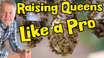 Raising Queens Just Got So Easy