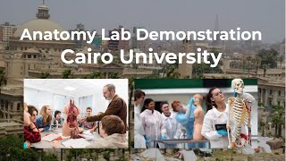 ANATOMY LAB DEMONSTRATION - CAIRO UNIVERSITY