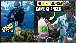 HUNTING ALIENS EATING CORAL REEFS OF PHILIPPINES - With POWER of Filipino VINEGAR !?!