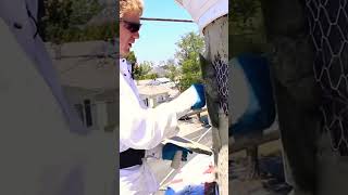 Scratch Coating, #diy, #concrete, #shortsfeed, #trending, #ytshorts, #shorts, #tiktok, #reddit,