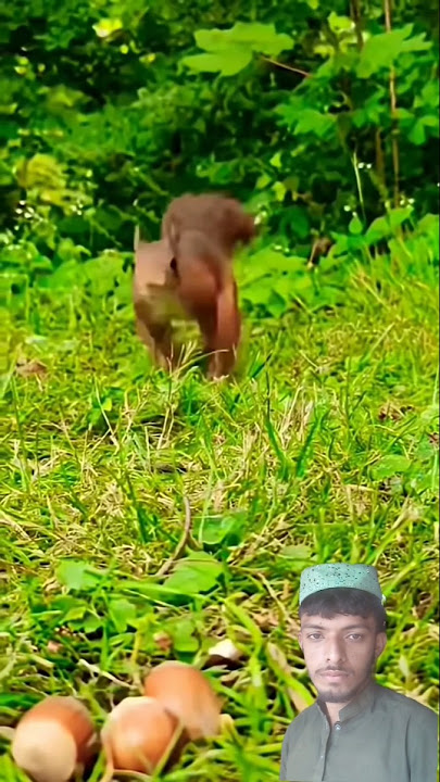 https://youtube.com/shorts/y0BArDqEImI?si=fr9wbRzTBW5akYO3