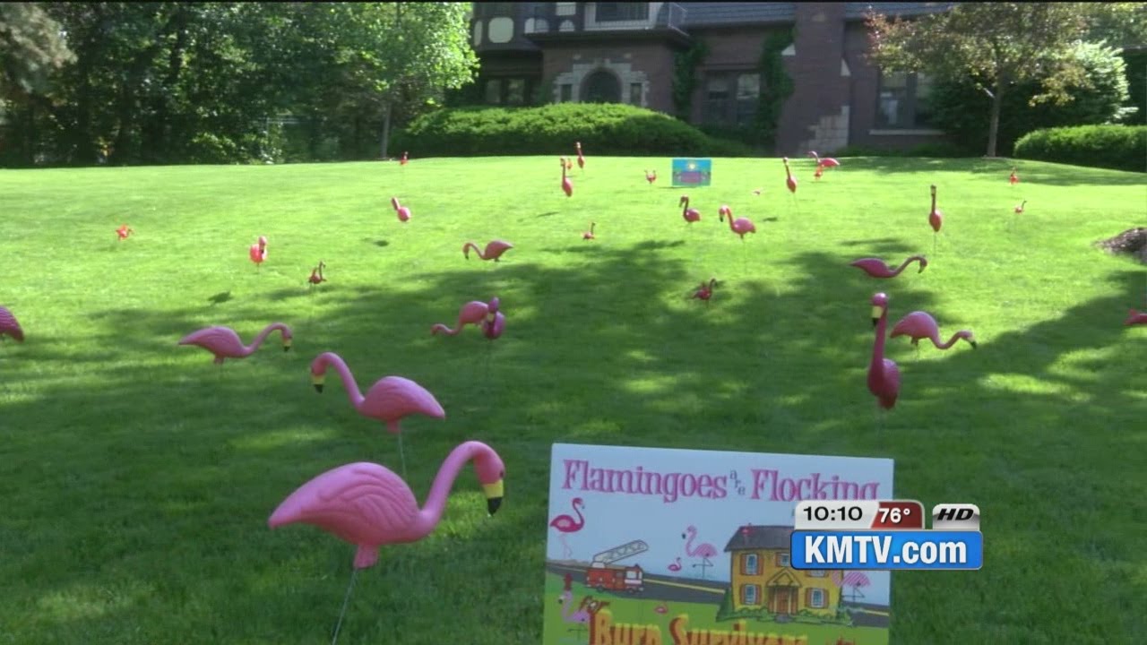 'Flamingo Flocking' helps burn survivors