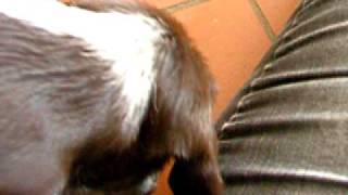 DSCF1290.AVI