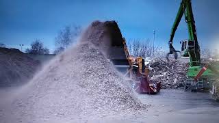 Cippatrice. 24 Settembre 2025