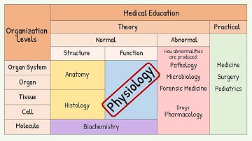 Introduction to Physiology for a Medical Student || What EXACTLY is Human Physiology?