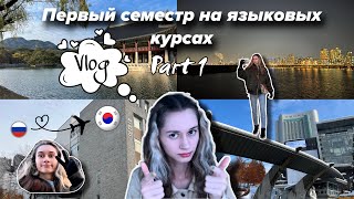 картинка: VLOG/Первый семестр в университете Soongsil. Часть 1/перелет/прогулки/территория универа/Кёнбоккун