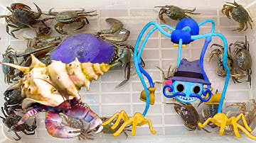 Kem Ốc Chanel bị lạc thú cưng con mèo ở khu vui chơi. Robot Chó bắt quái vật ăn con cua, các con vật