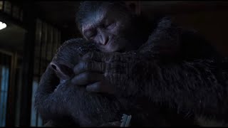 War For The Planet Of The Apes - Caesar And Cornelius