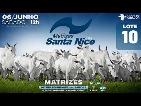 LOTE 10   GRI C3471