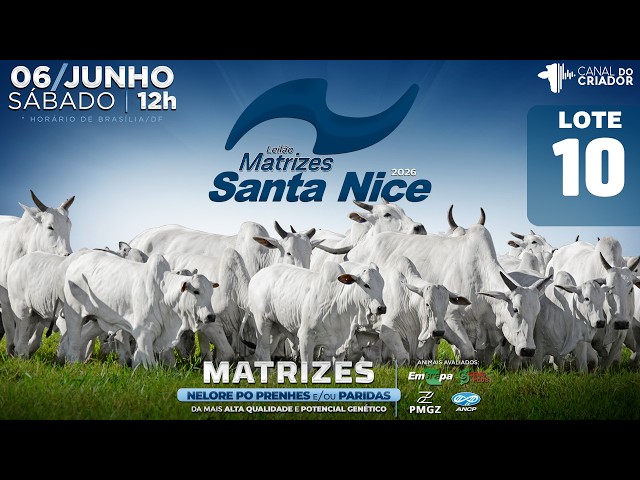 LOTE 10   GRI C3471