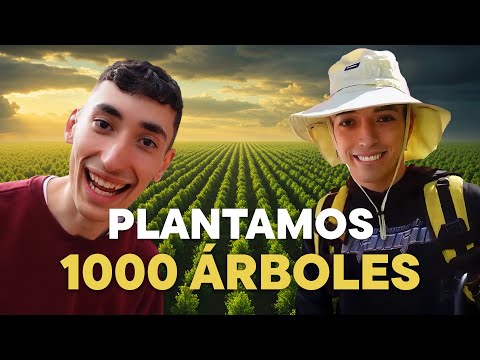 WE PLANTED 1,000 TREES IN ARGENTINA 🇦🇷