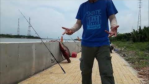 Bãi câu đẹp ở cống Mương Chuối - Nhà Bè