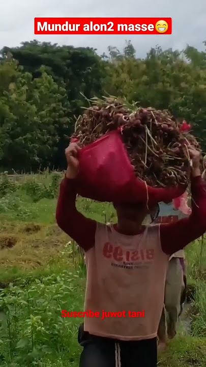 story wa petani bawang merah#viralvideo