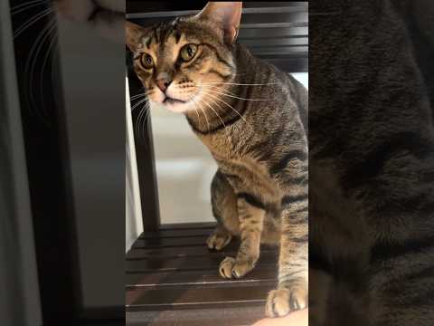 الكل يردد مع زوزو   اكسبلور سحابه  زوزو