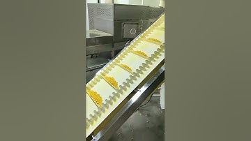 Băng tải xích nhựa kiểu mô-đun trong ngành công nghiệp thực phẩm #xuhuongyoutube #băngtải