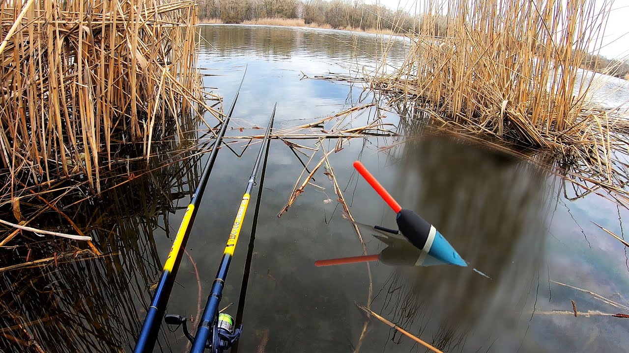 Pike on the Move: Live Bait Fishing with a Telescopic Rod