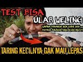 TERGIGIT WELING DAN COBRA? NYAWA DI UJUNG TANDUK! (PERBEDAAN BISA ULAR WELING DAN ULAR COBRA)