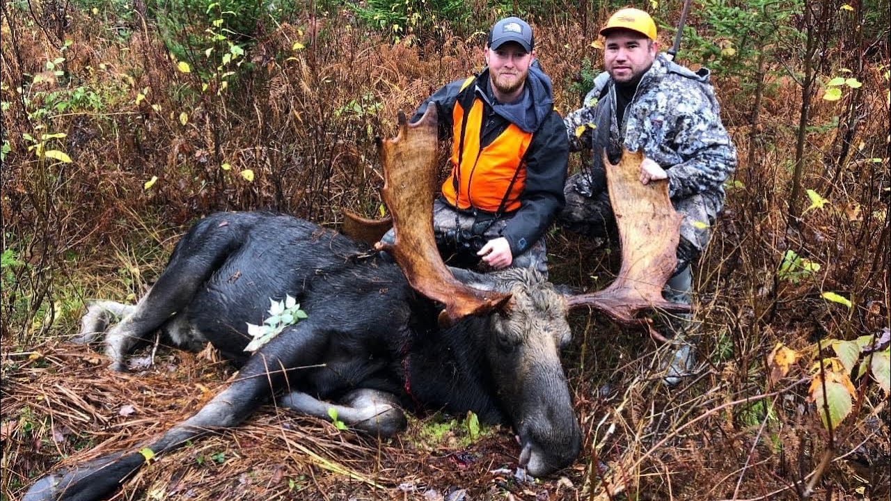 2021 Vermont Moose Hunt YouTube