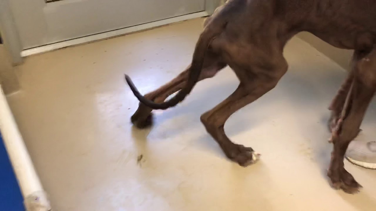 center for reproductive rights A803213