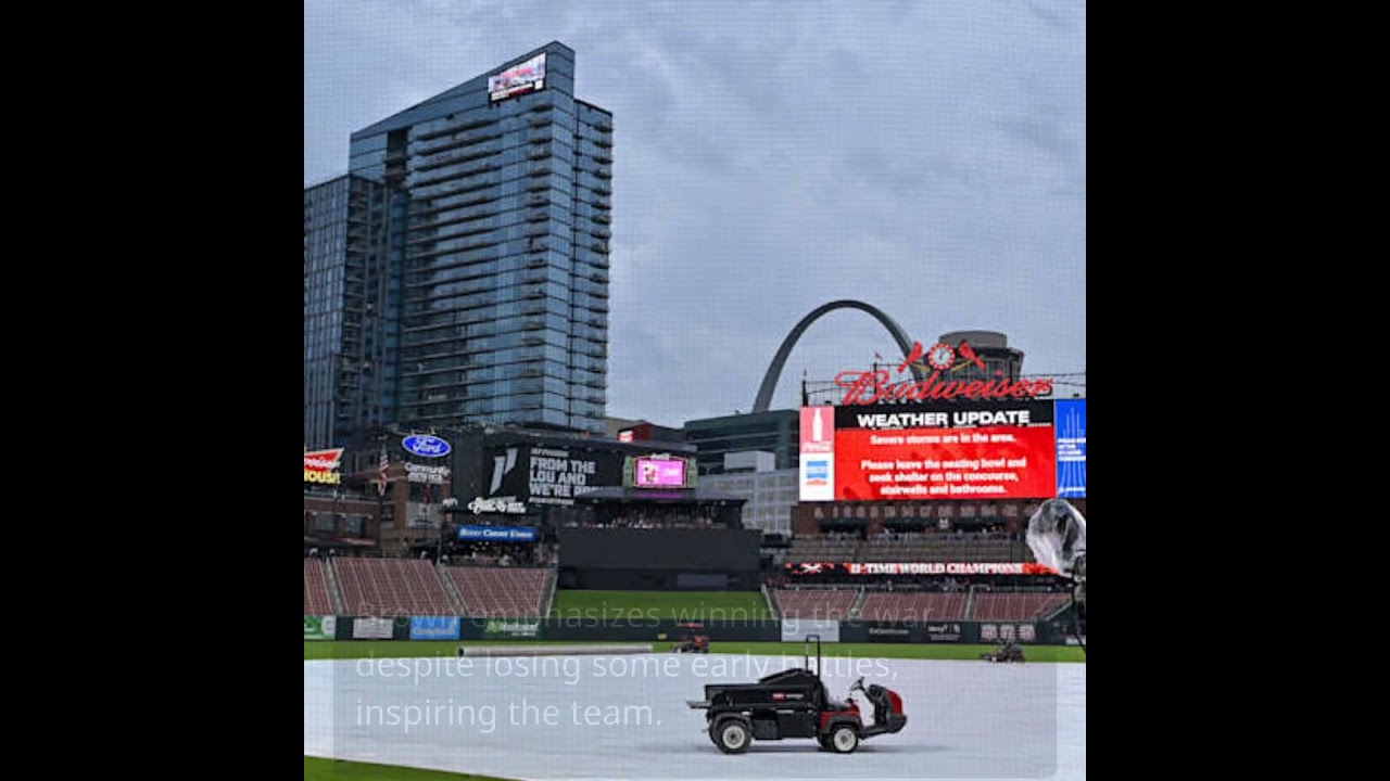 Cardinals Aim High in 2025 with New Hitting Coach