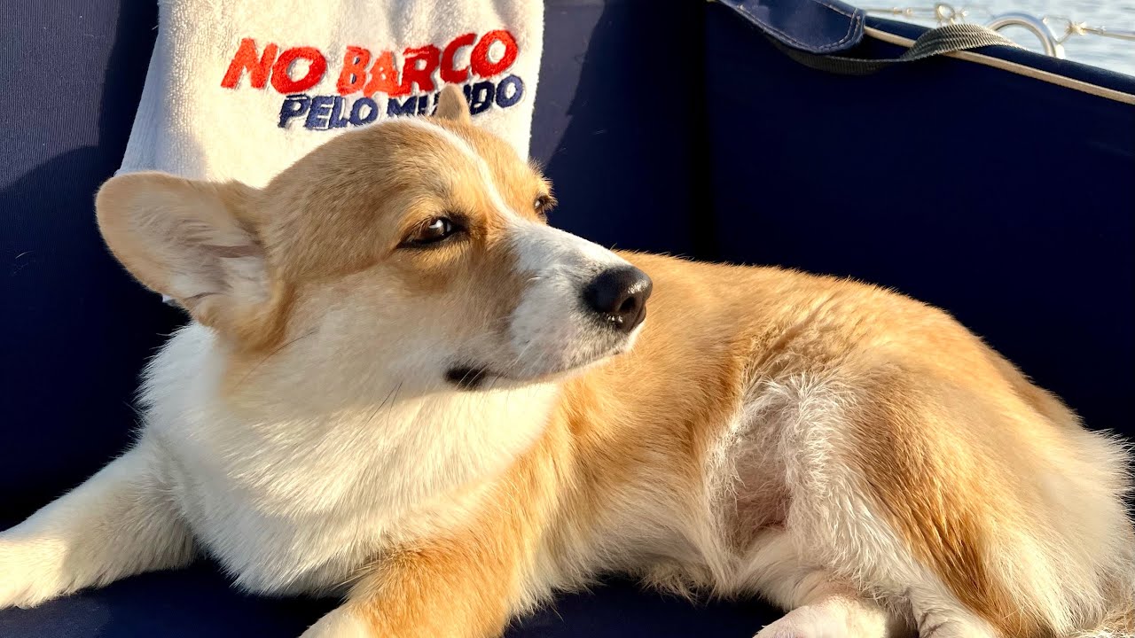 ⁣Estreia 4a temporada - NOVA TRIPULANTE | No Barco Pelo Mundo Ep. 158