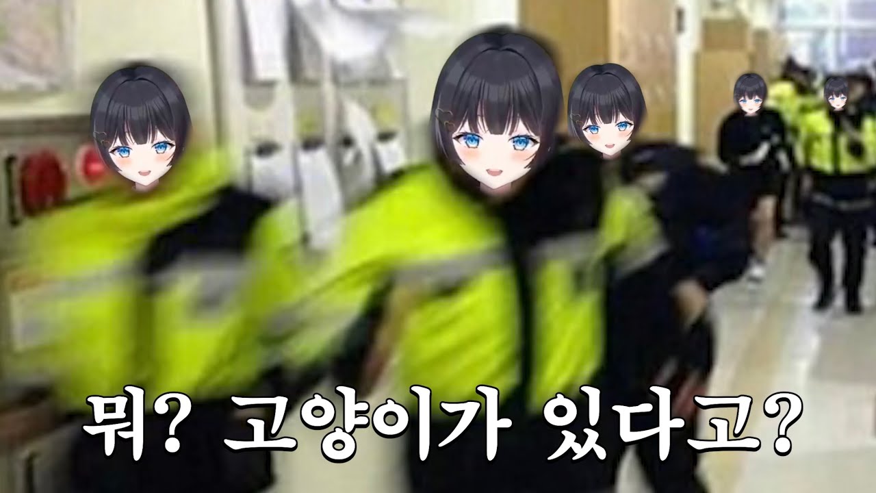 모든 고양이 싹 다 잡아 들이는 히나 [스텔라이브/마크]