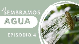 Hace años que SEMBRAMOS AGUA...Solución a SEQUÍAS y falta de NUTRIENTES ( Huerto Circular)