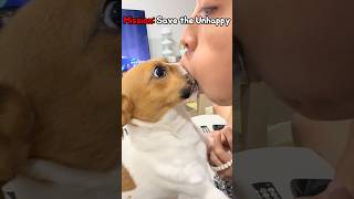 This Is So Funny L Couldnt Stop Laughing youtube funnydoddlersoffunnysduet 22