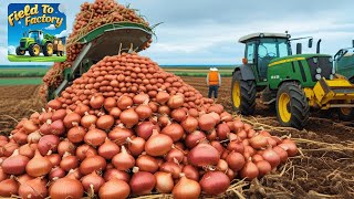 Modern Onion Farming Technology: How to Process TONS of Onions in Factory - Onion Factory process