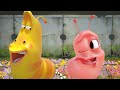 LARVA - Rosa kärlek | Tecknad film | Tecknade barn för barn | Larvtecknad | WildBrain