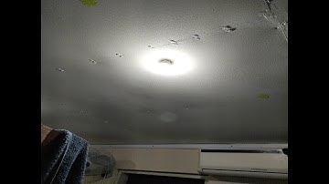 Sengled Alexa Light Bulb, Smart Light Bulbs That Work with Alexa Only, Bluetooth Mesh Standar Review