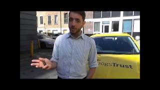 Dogs Trust Top Tips To Keep Your Dog Cool