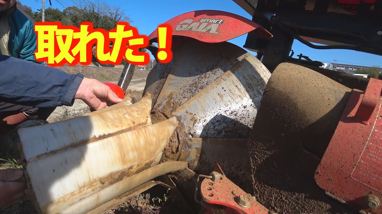Office worker helps out with family farm] 2023 During a