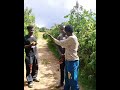 Ukikutana Na Jamaa AlikugongeaЁЯШВ Comedy Funny Viral Trending Ukikutana Na Jamaa AlikugongeaЁЯШВ Comedy Funny Viral Trending