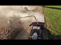 Corn 24 rows at a time with a Gleaner and Claas Lexion