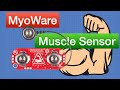 MyoWare Muscle Sensor - Electromyography (EMG) &amp; Robot Arm (failed attempt)!