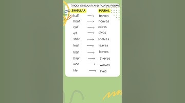 Learn English Grammar : 10 plural form of Nouns Ending in ‘f’ or ‘fe’