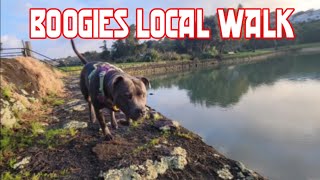 A trip around Boogies local park  Virtual dog walk