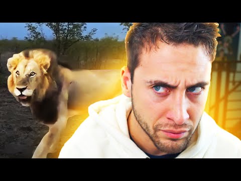 PEOPLE VS ANIMAL FAILS!!