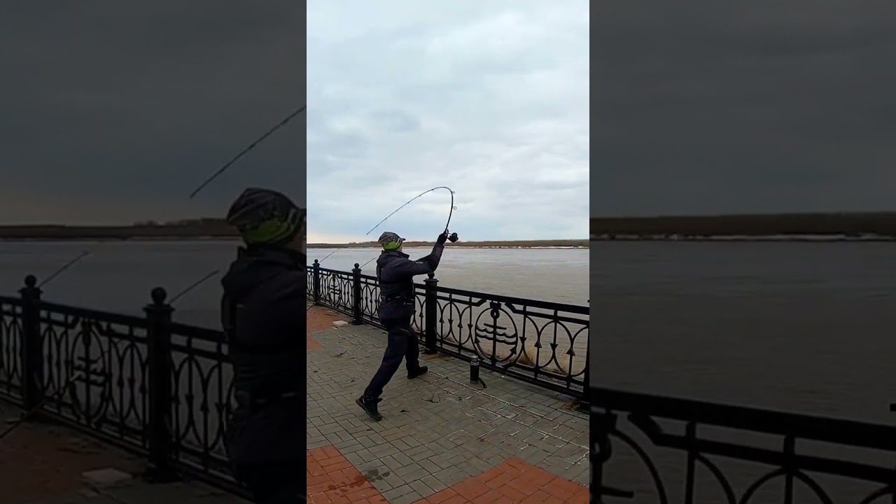 Заброс 200 грамм спиннингом NAUTILUS BUTLER FEEDER - FD 240СМ 200ГР BTF8XHQ