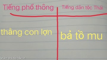Dịch tiếng phổ thông ra tiếng dân tộc Thái