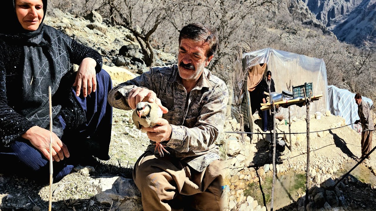 От освобождения птицы 🦜 до помощи соседу-кочевнику: один день из нашей жизни.