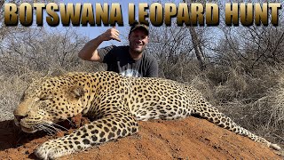 Leopard Hunting with Dogs - Botswana 2023 - Full Movie