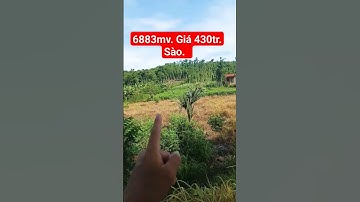 vieuw đôi. 6883mv.  giá 430tr. sào.  xuân sơn huyện châu Đức brvt.