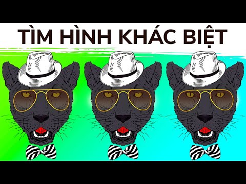 Video: Lợi ích chính của một câu đố cho bị cáo là gì?