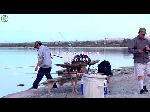 Video: California Beach Camping - Campground Koj Yuav Hlub