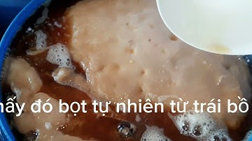 THÙNG ENZYM BỒ HÒN ĐƯỢC NGÂM Ủ HƠN MỘT NĂM, CON MEN DÀY, DỊCH CHIẾT NƯỚC CỐT ĐẬM ĐẶC TRONG VEO