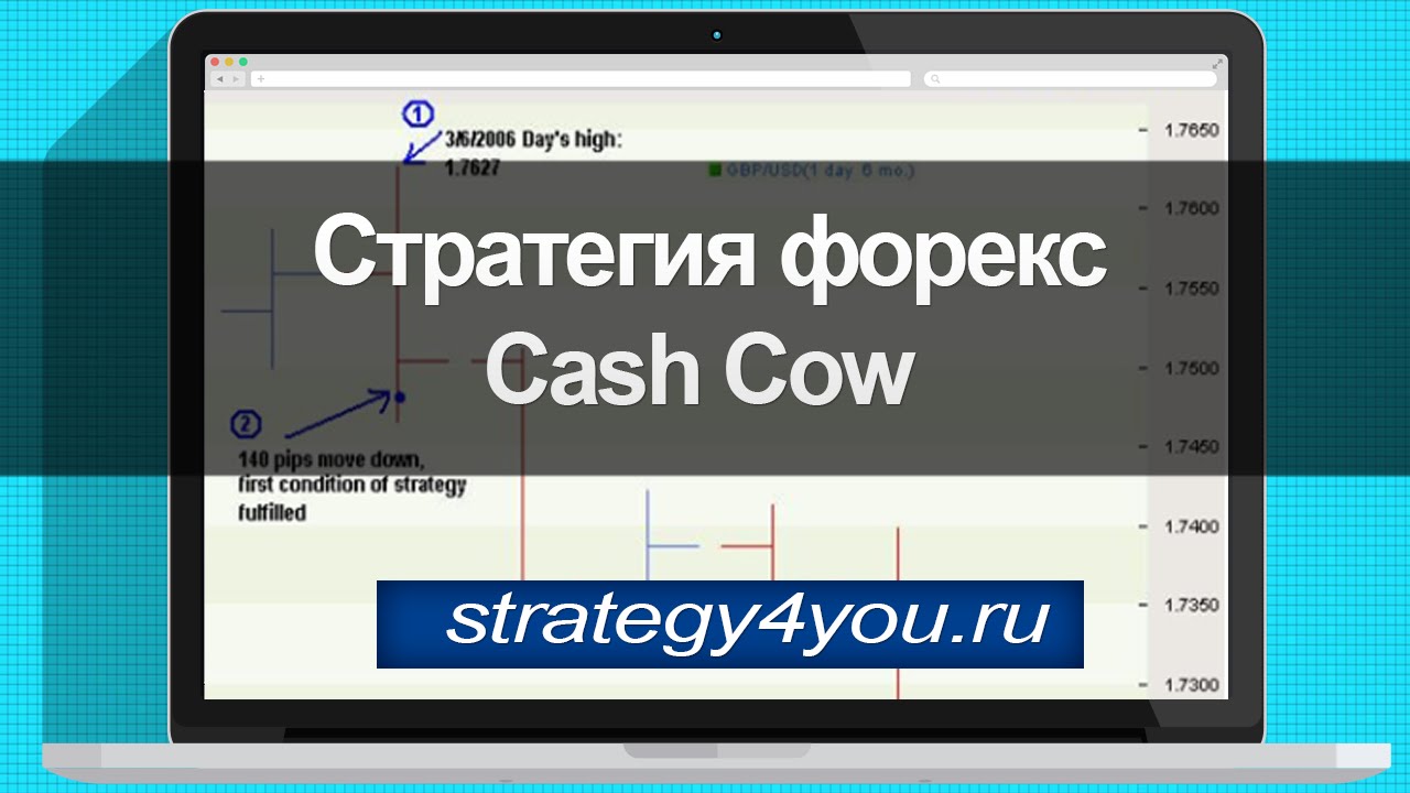 Forex cash cow strategy downloads best nft tokens 2021