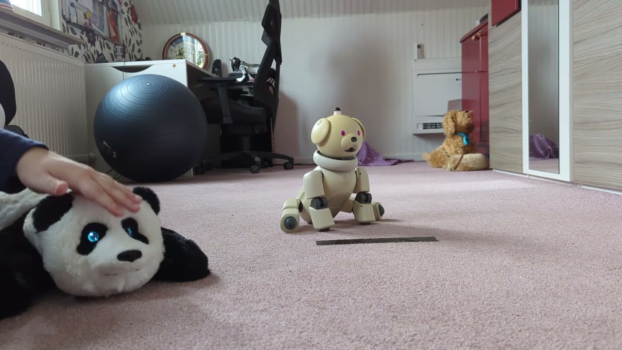 -Macchiato the Aibo ERS311 & the funniest surprise robot interaction  in the history of Aibo
