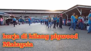 Suasana kerja di kilang/pabrik plywood di Malaysia